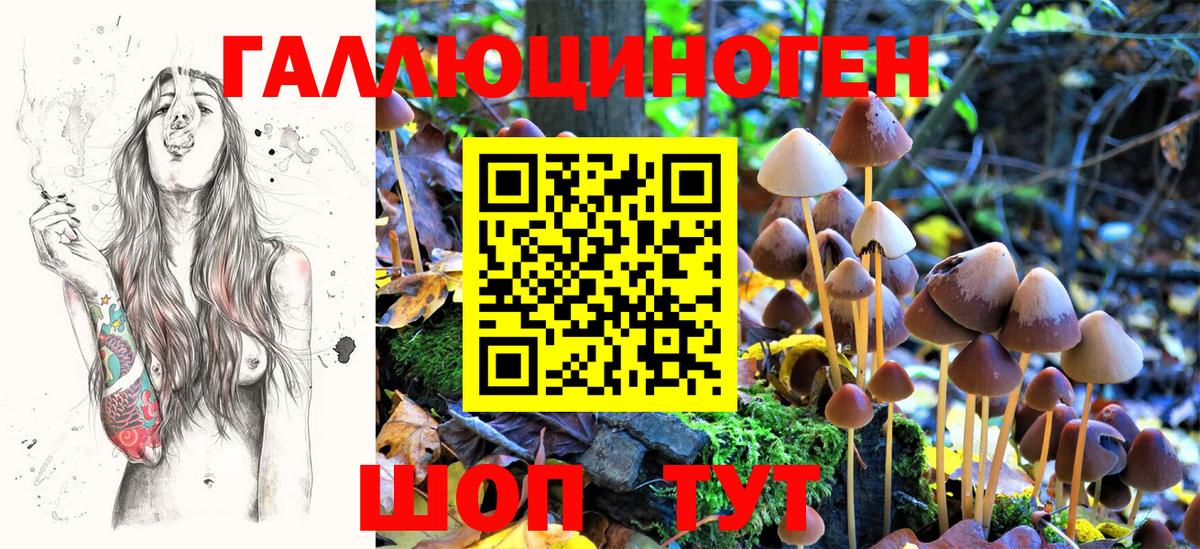 Миасс  Галлюциногенные грибы Psilocybe  Вход с VPN 