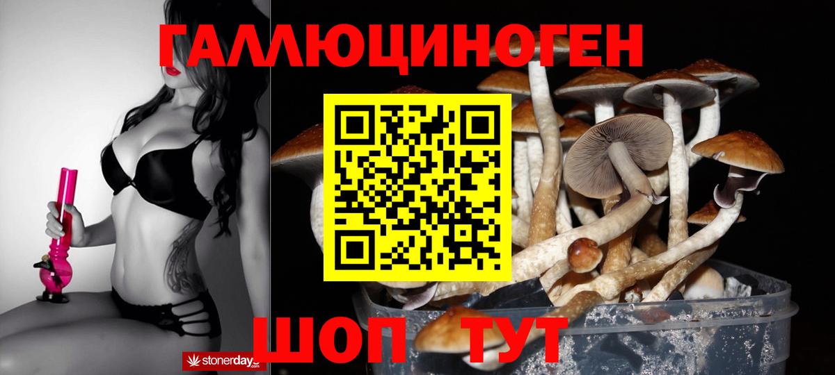Галлюциногенные грибы Psilocybine cubensis Миасс